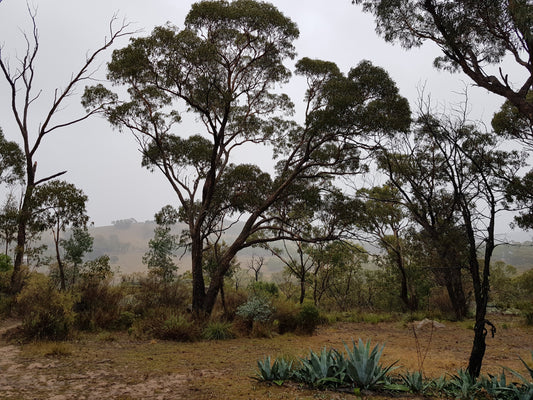 Why Am I So Excited By Washing Machines These Days? | Stories From The Road #1